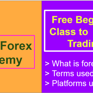 Introduction to forex trading